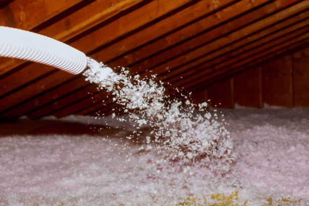 Best Local Insulation Services  in Port Ludlow, WA
